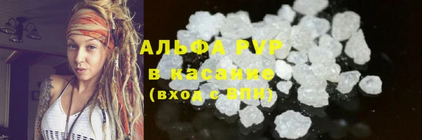 гидра Майский