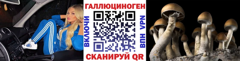 ссылка на мегу ССЫЛКА  Арзамас  Галлюциногенные грибы ЛСД 