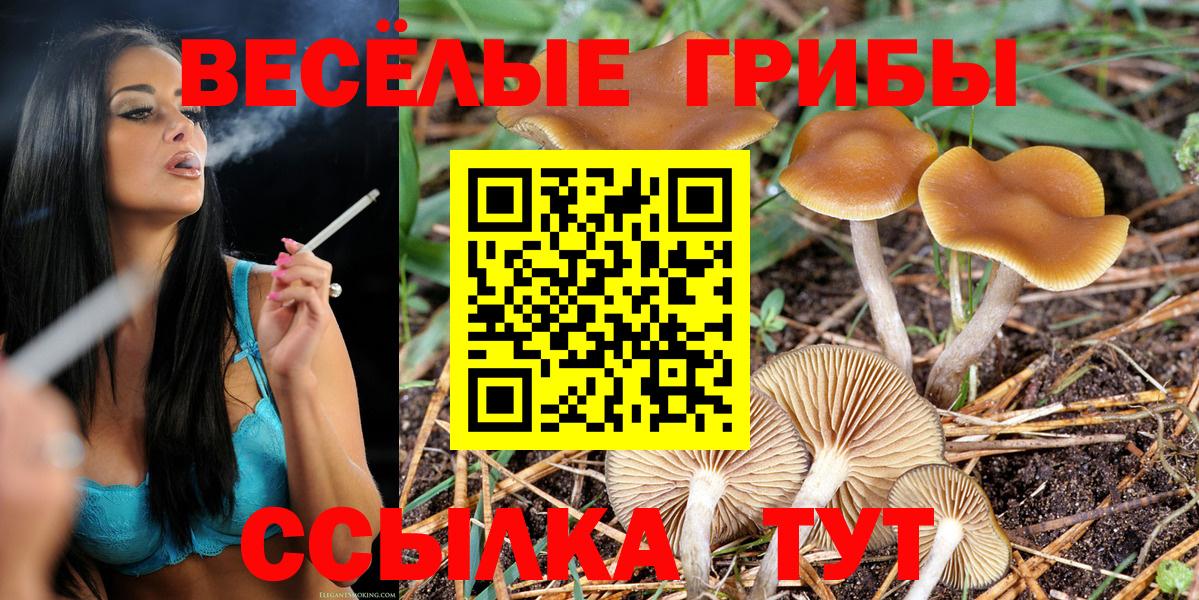 Галлюциногенные грибы Psilocybine cubensis Арзамас