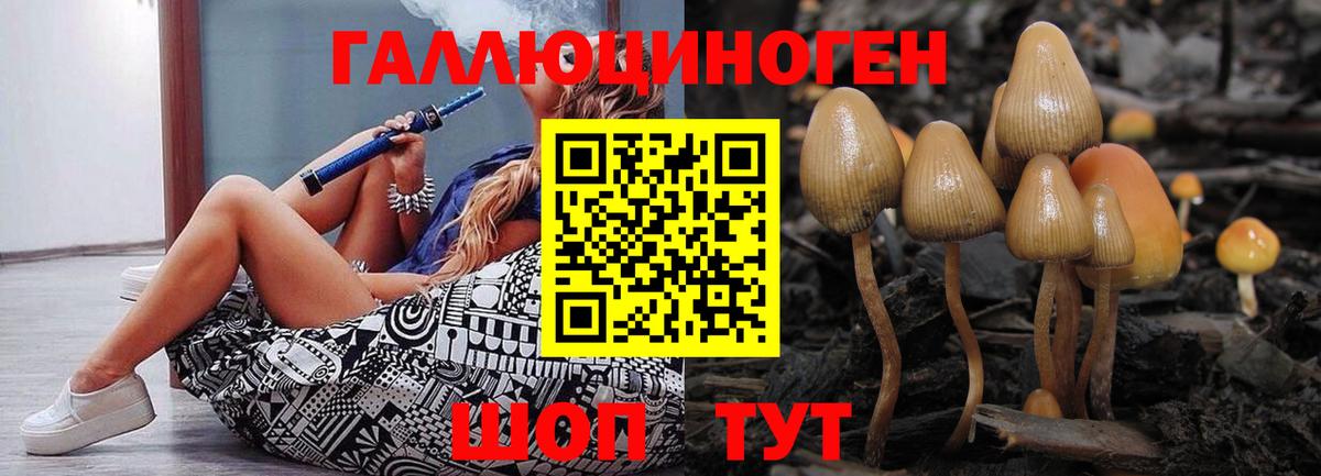 Галлюциногенные грибы Psilocybe  Галлюциногенные грибы GOLDEN TEACHER  Арзамас  Вход с VPN 
