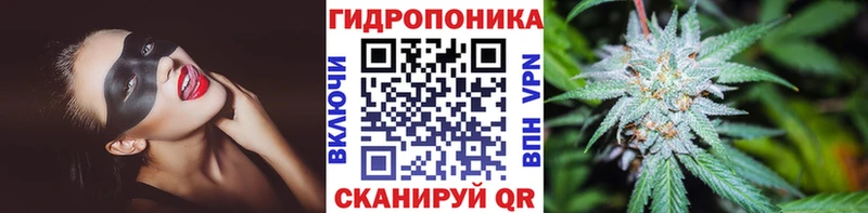 kraken зеркало  как найти закладки  Арзамас  Бошки марихуана OG Kush 
